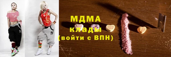 индика Гусь-Хрустальный